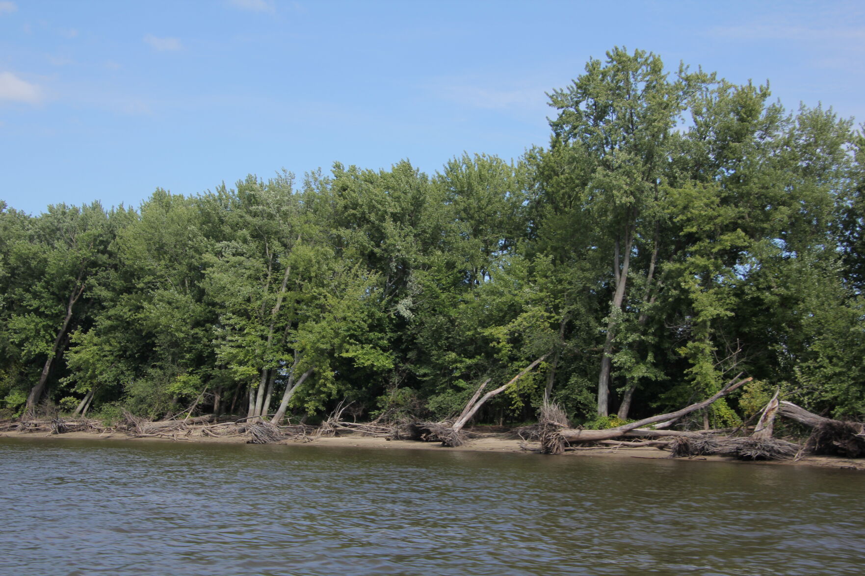 042520.N.RE.LakePepinProject 2.JPG